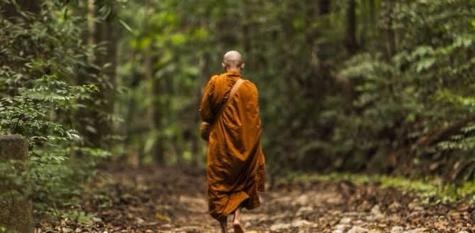 Mindful Walking banner