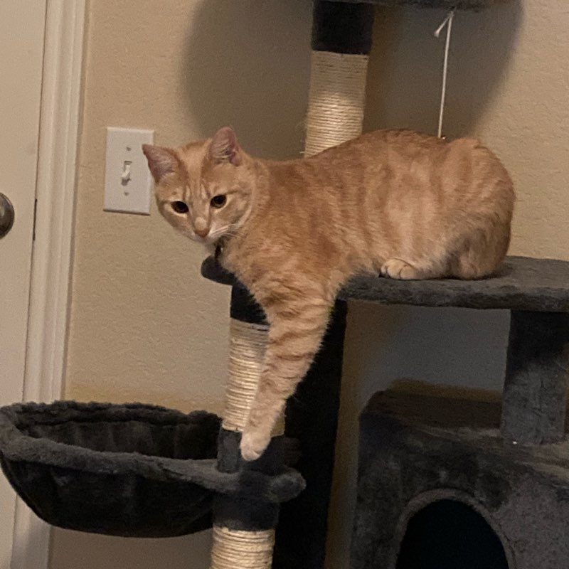 Seeing New Places logo