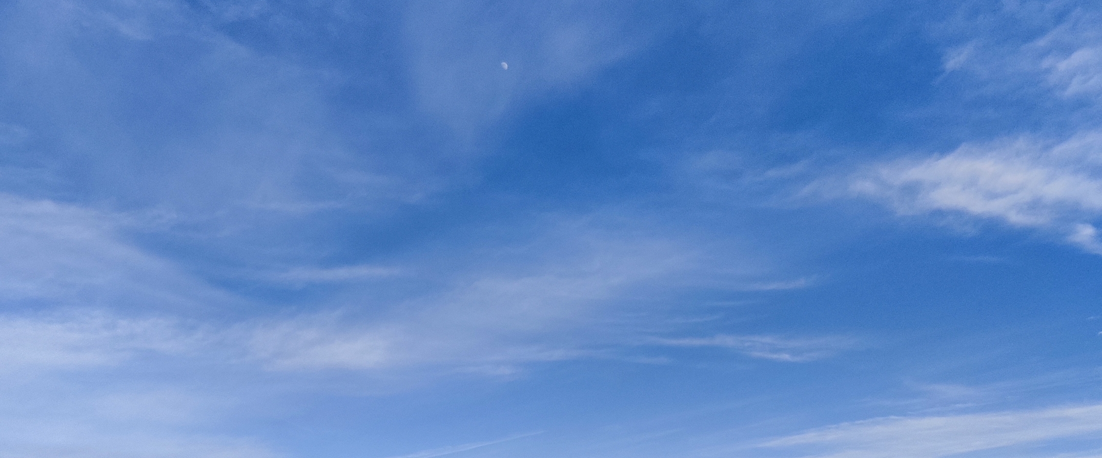 Мир-Фарм Ходоки banner