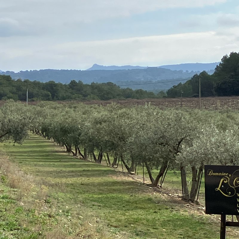 Martine et Sabine logo