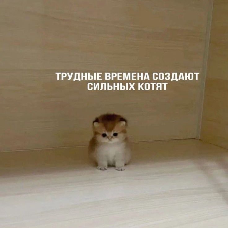 тест группа logo