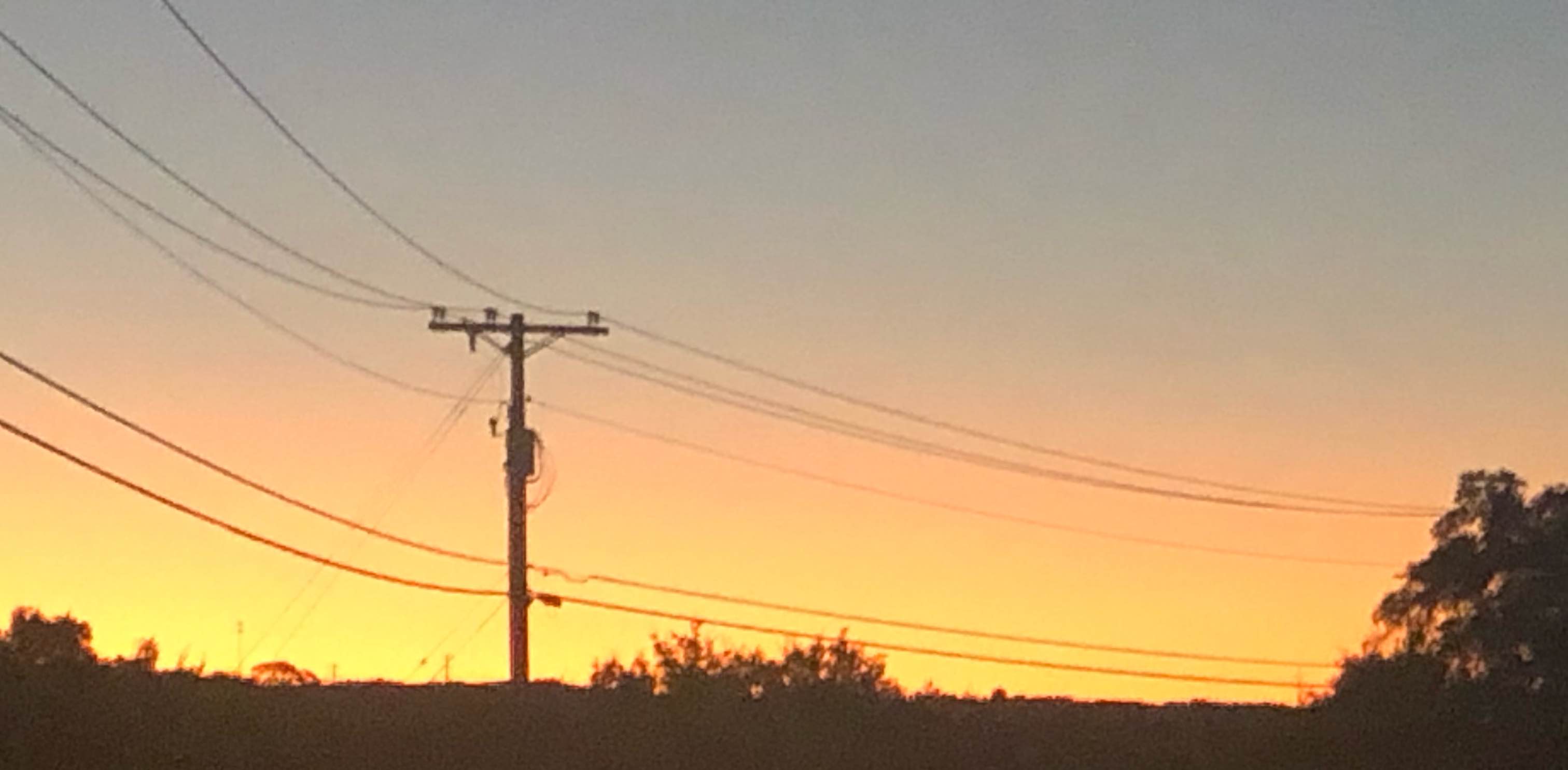 Texas Physical banner