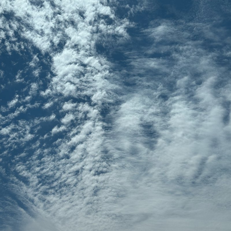 family challenges logo