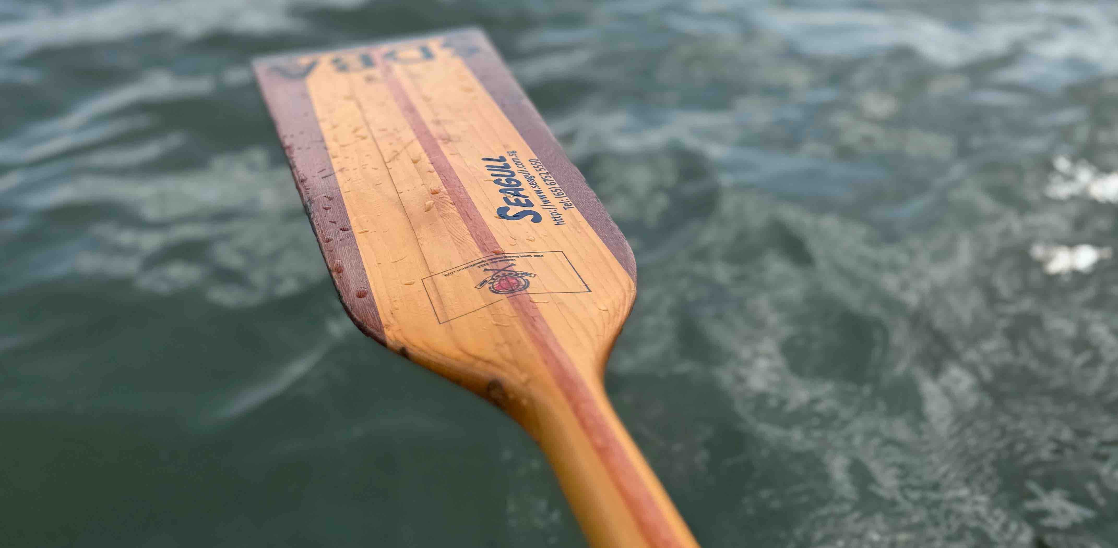 Wellington Pri Fitness Club banner