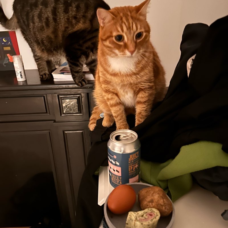 Аманда Линда и Роуз logo