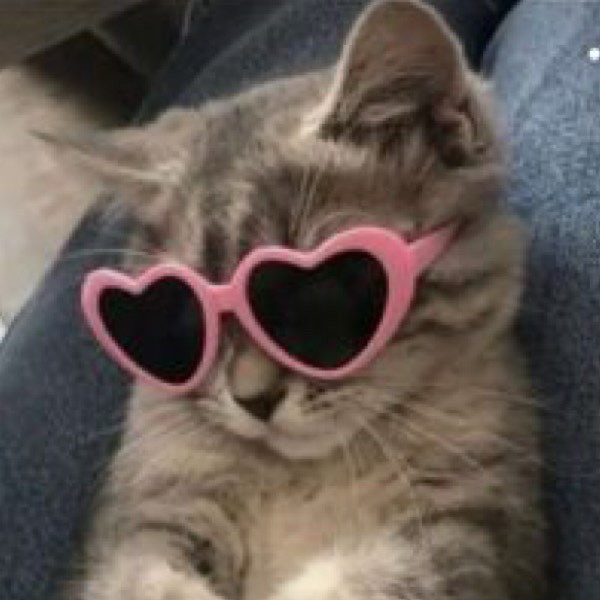 one step at a time logo