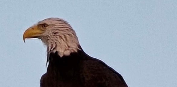 one step at a time banner