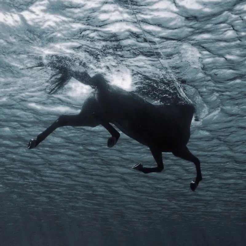 𝑺𝒊𝒆𝒍𝒖𝒏𝒎𝒂𝒊𝒔𝒆𝒎𝒂🌱𓏲 logo