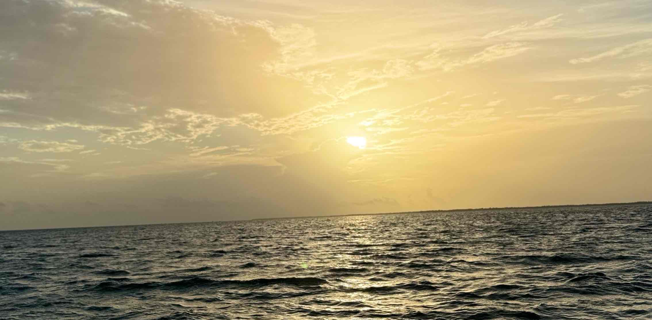 Florida Keys Strides banner