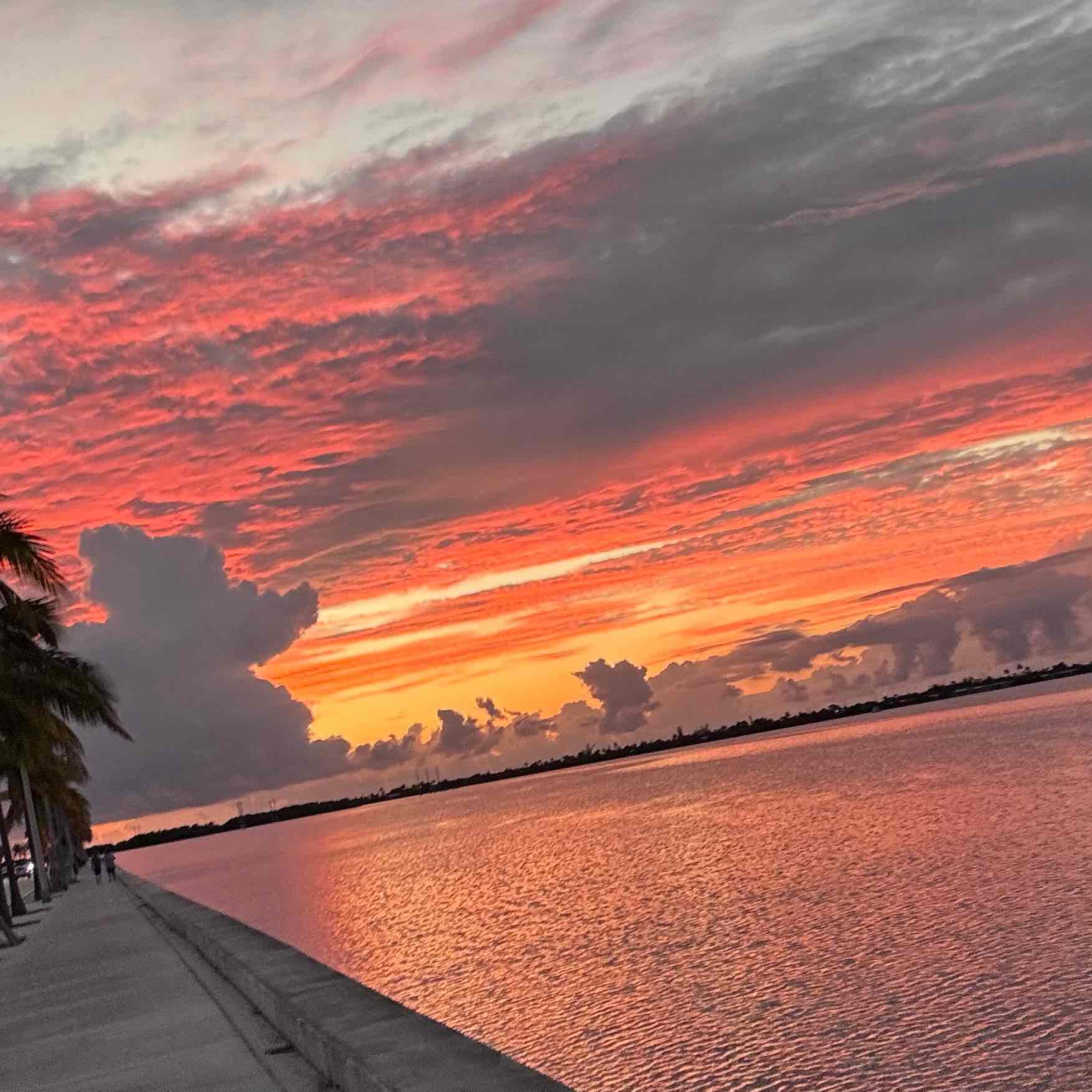 Florida Keys Strides logo