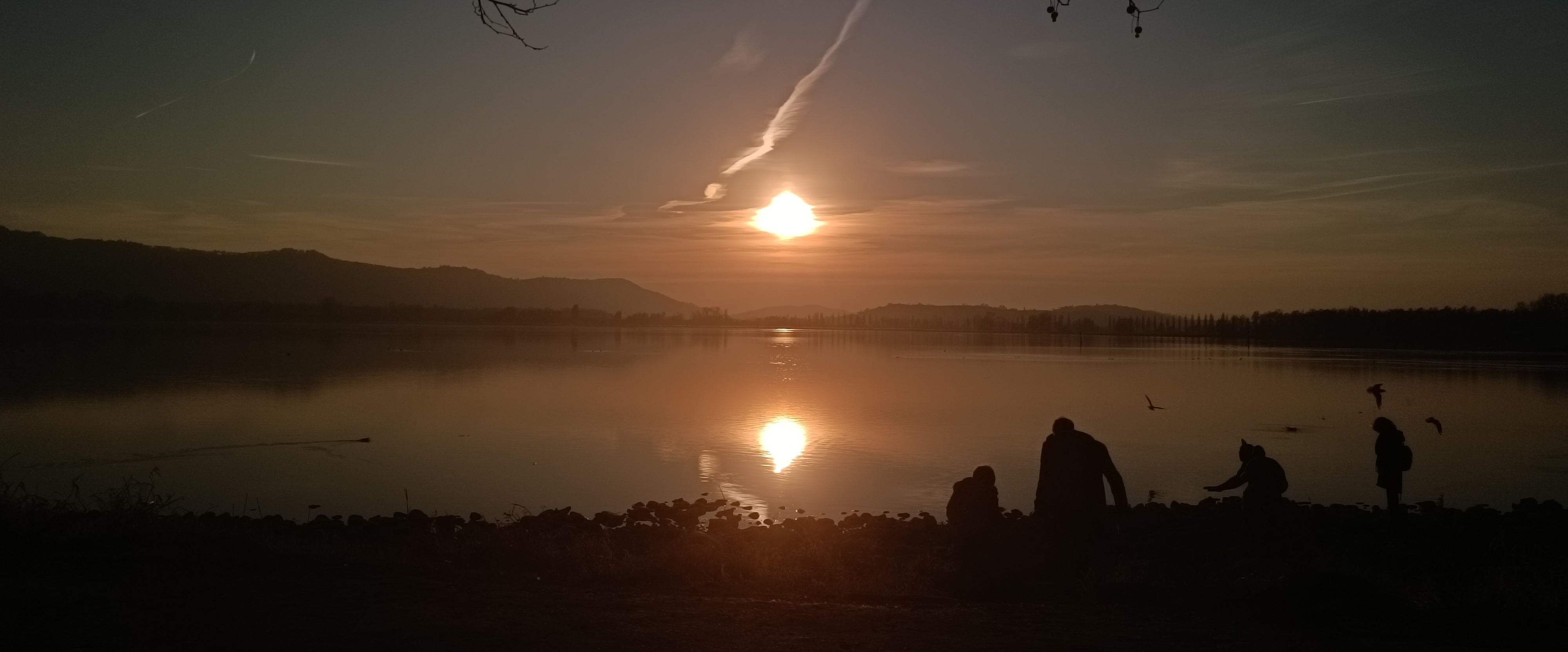 бедняги banner