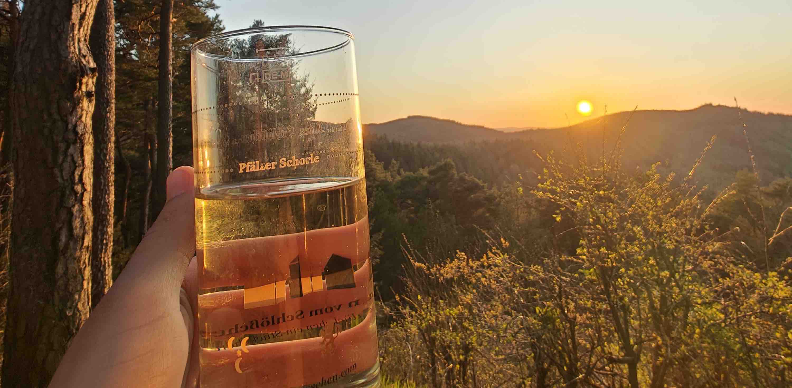 Pfälzer gegen Schwobe banner