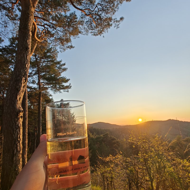 Pfälzer gegen Schwobe logo