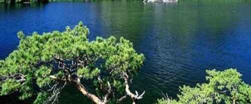 велосипедисты⚡🚴🏼‍♂️💪 banner