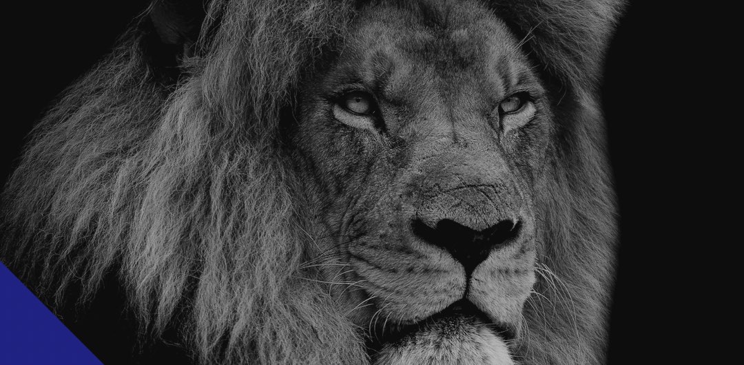 Raw Overcomers banner