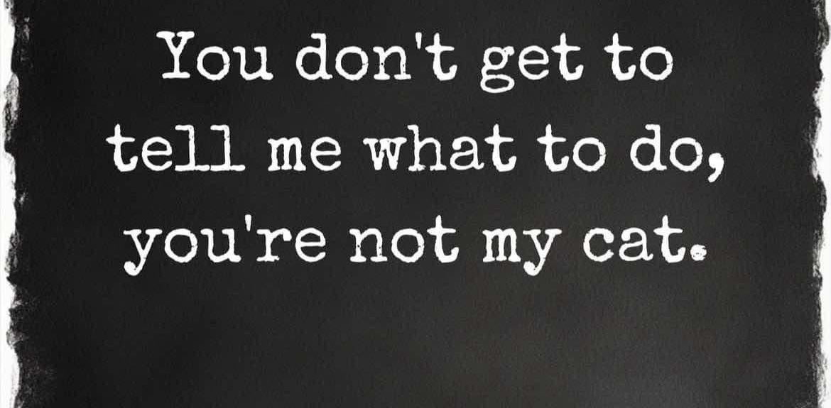 Chronic Illness & Burnout banner