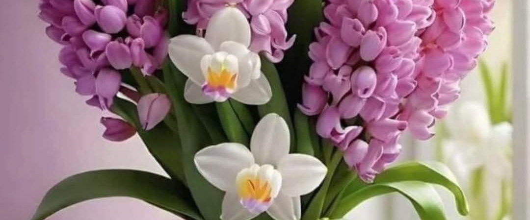 Abu Dhabi is Walking 🥂 banner