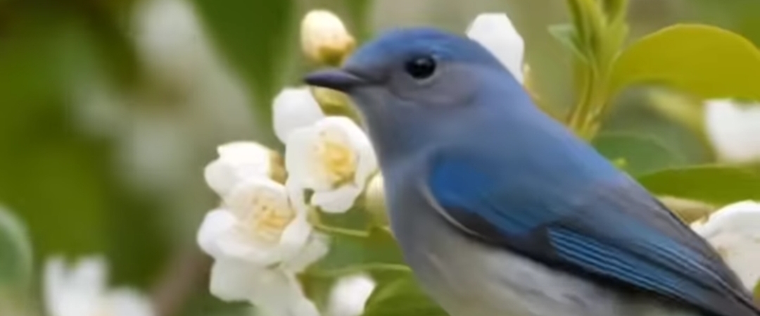 😇CONSTANT😇 banner