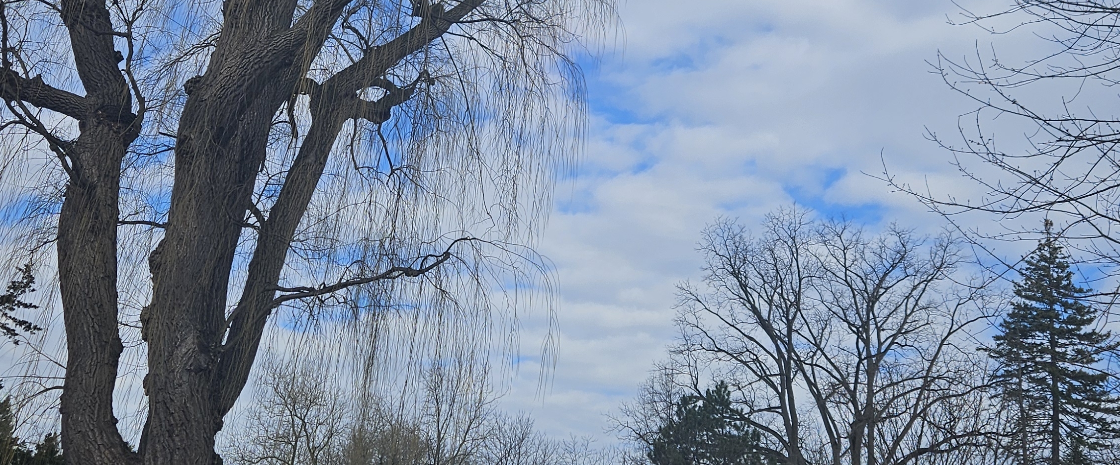 🌸Stepathon Barclays Assure🌸 banner