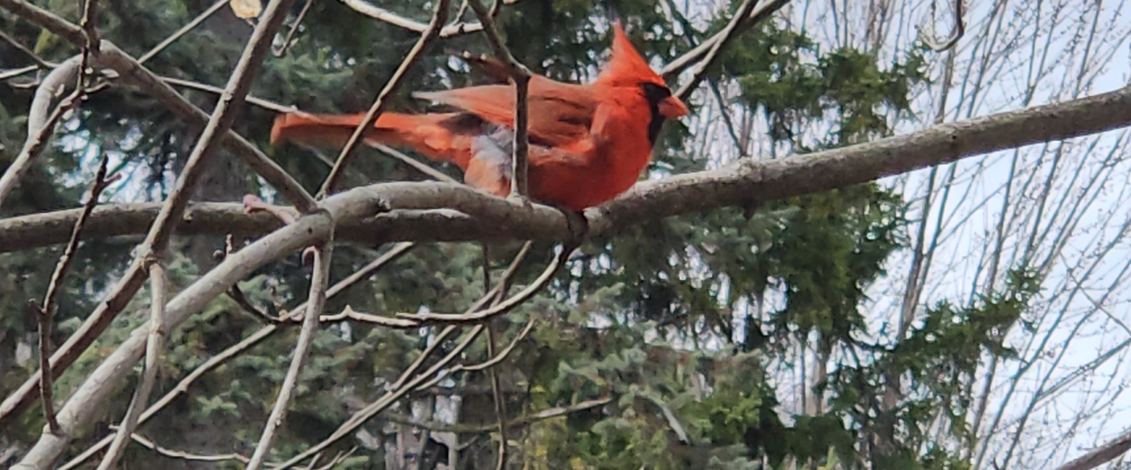 Doktoral PSL 2022 banner