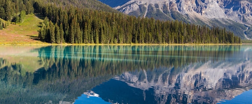 🌎 WORLD FRIENDS🌎 banner