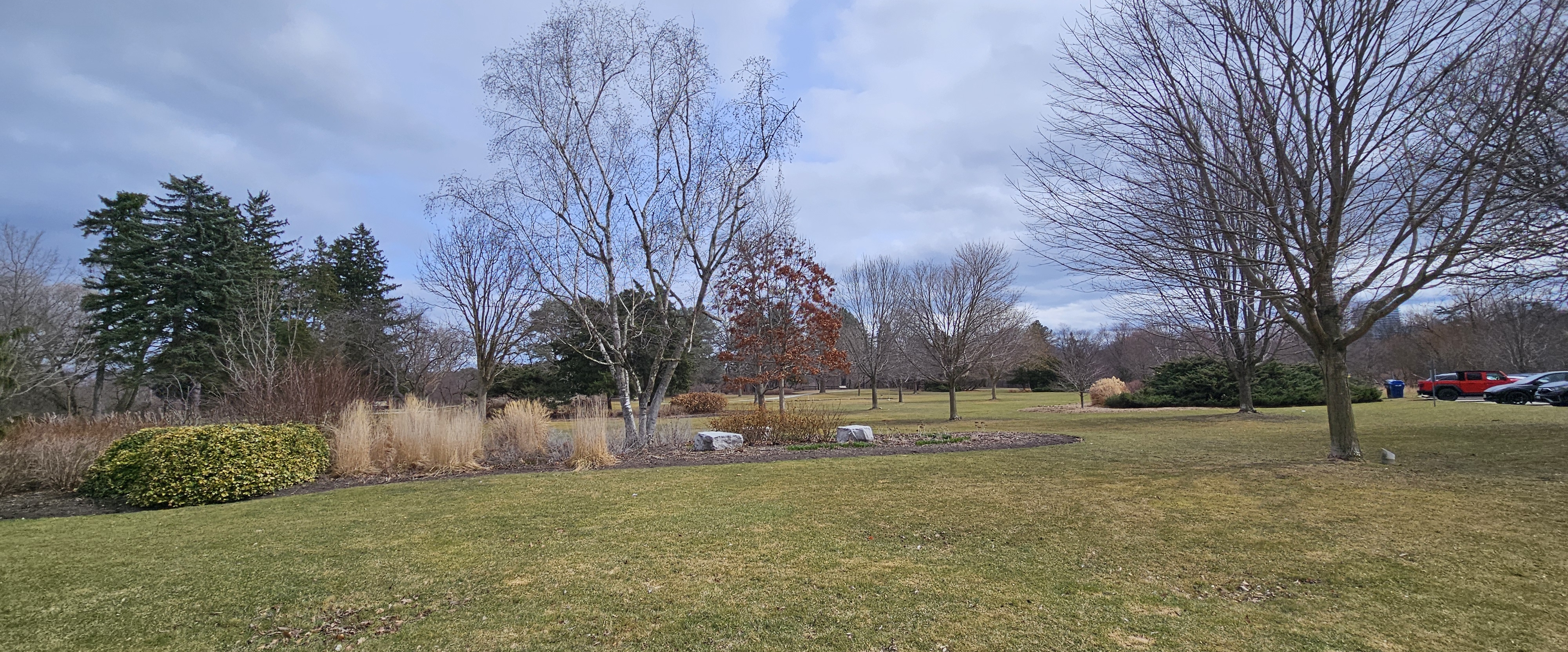 🥁BEING FIT 🥁 banner