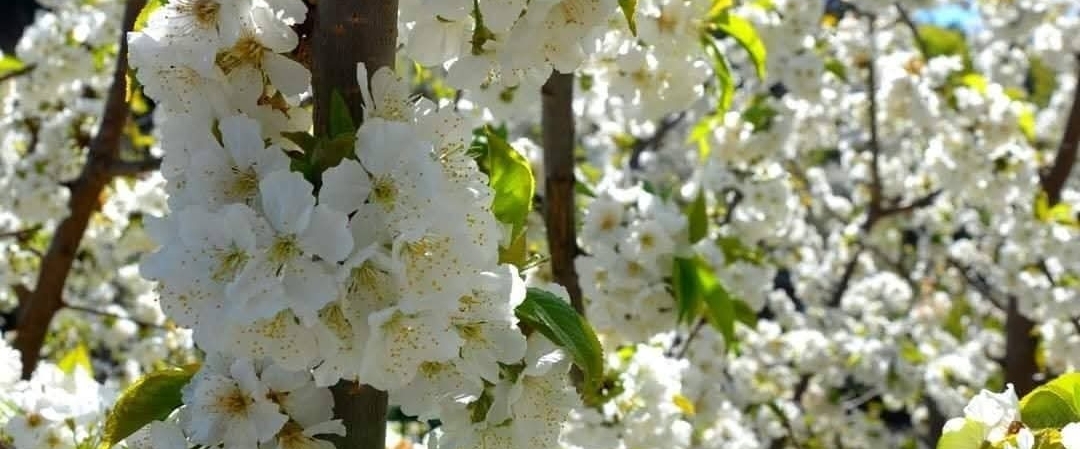 💖FABULOUS & FIT💖 banner