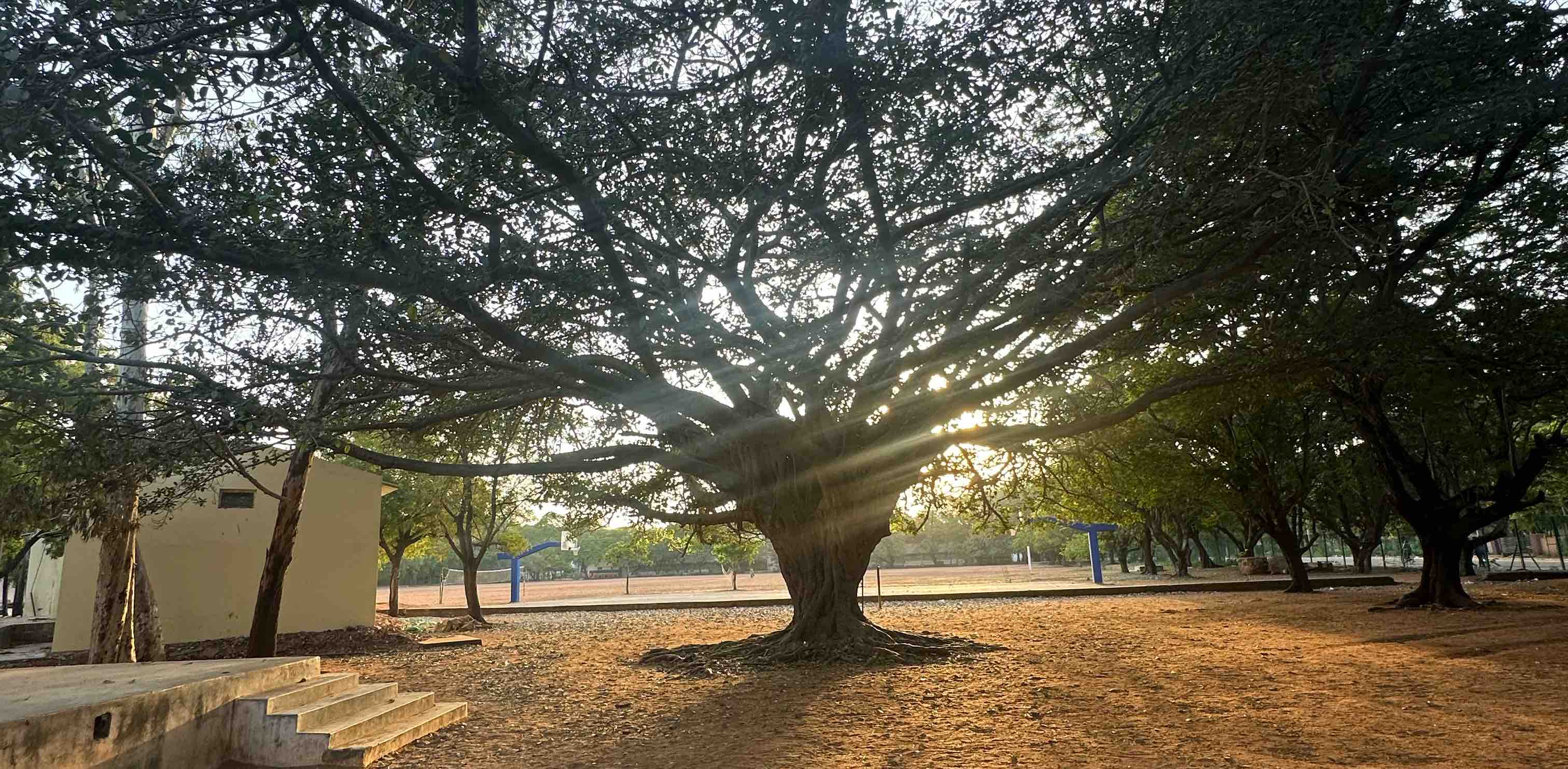 RSK 10D Buddies 🤩🔥⭐️ banner