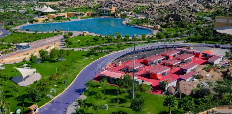 10k Steps daily banner