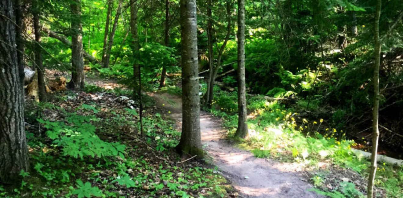 Atlantic Zone PC banner