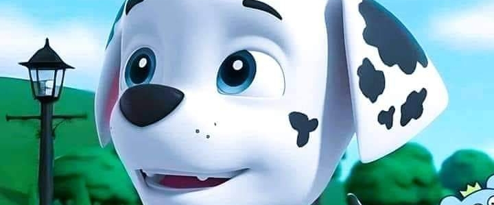 paw patrol marshall banner