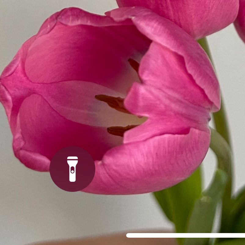 Цыденова В logo