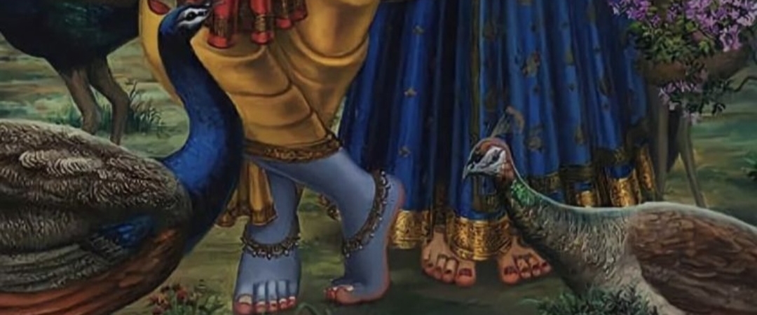 Naam jap walk banner