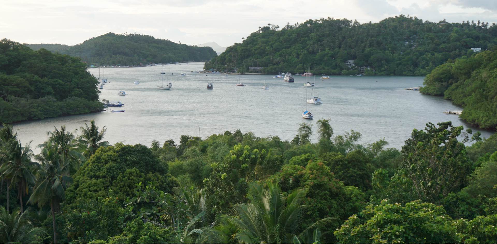 Keep Active & Healthy banner