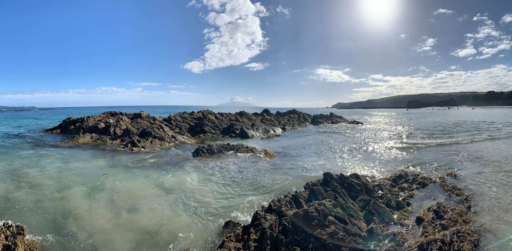 New Zealand runners! banner