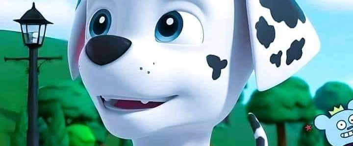 paw patrol marshall banner