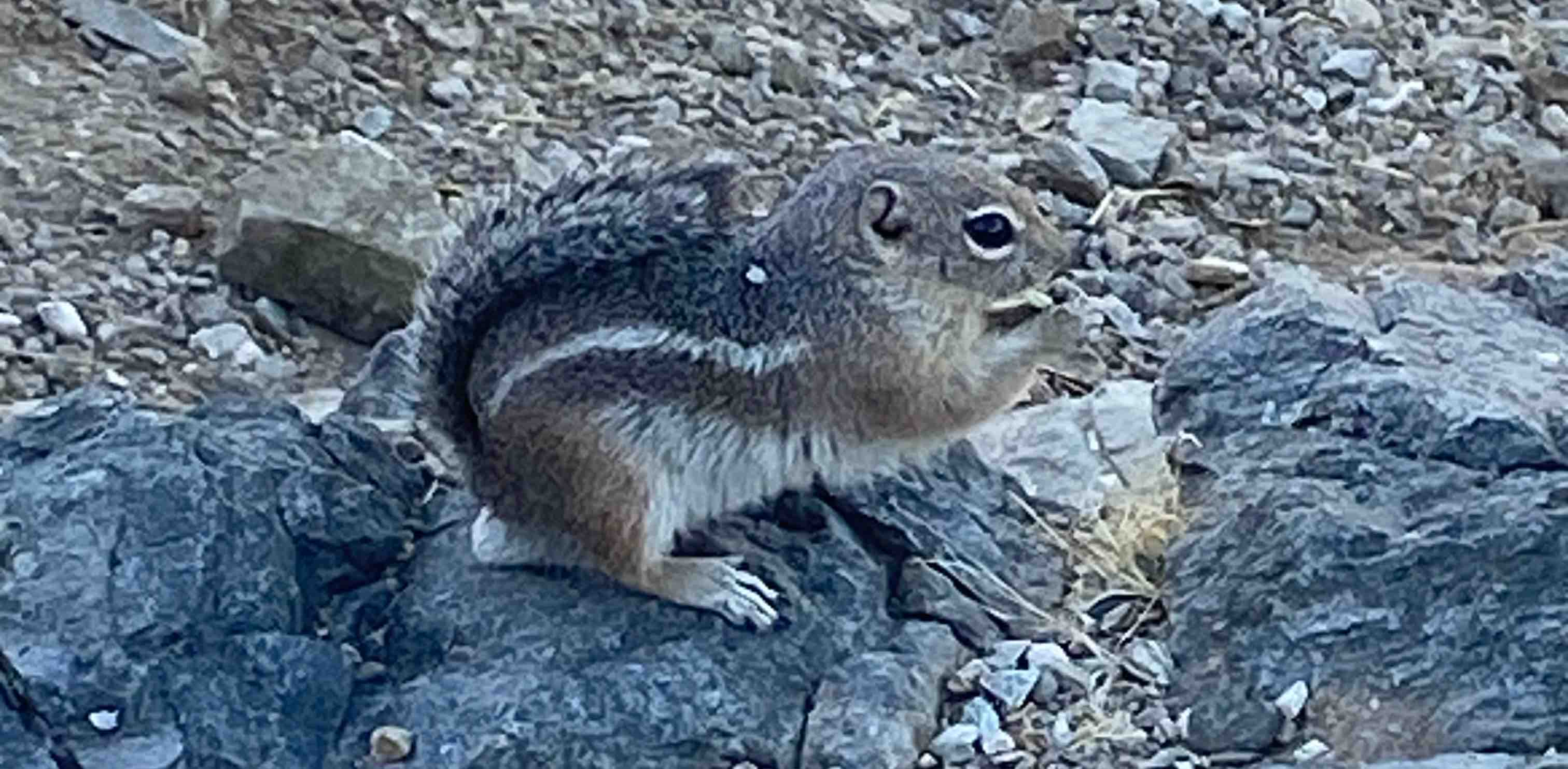 God’s people banner