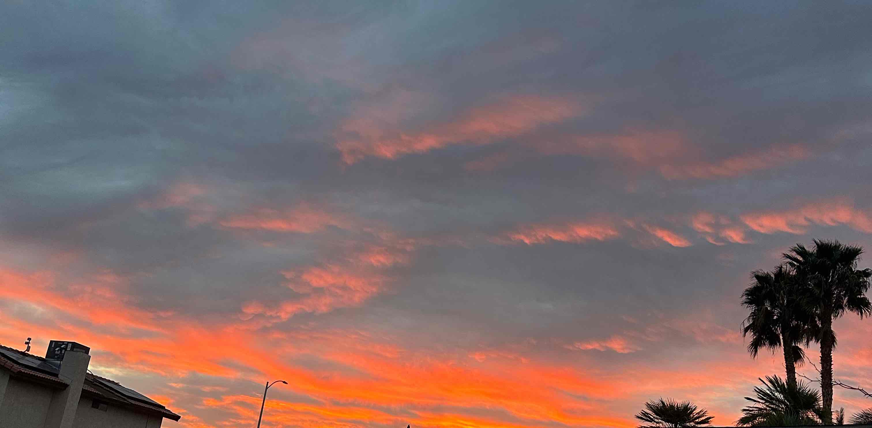 Step into Summer! banner