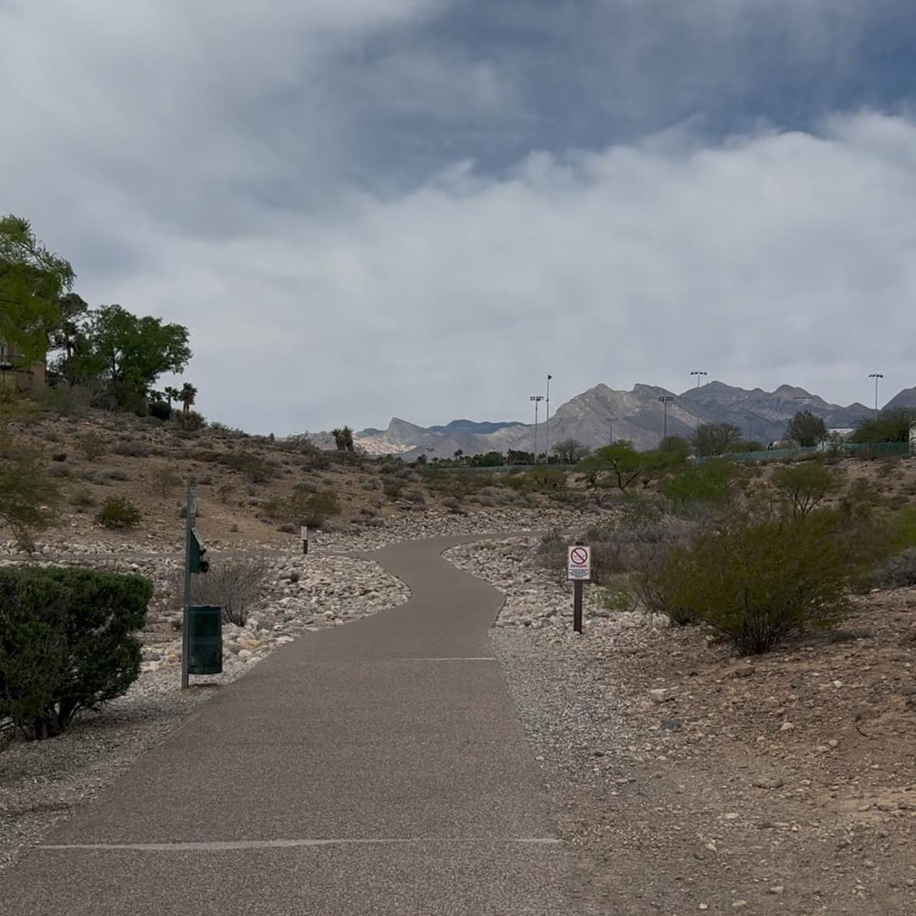 Step into Summer! logo