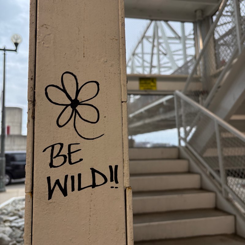 Bullock Walking Club logo
