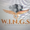 CAP WINGS logo