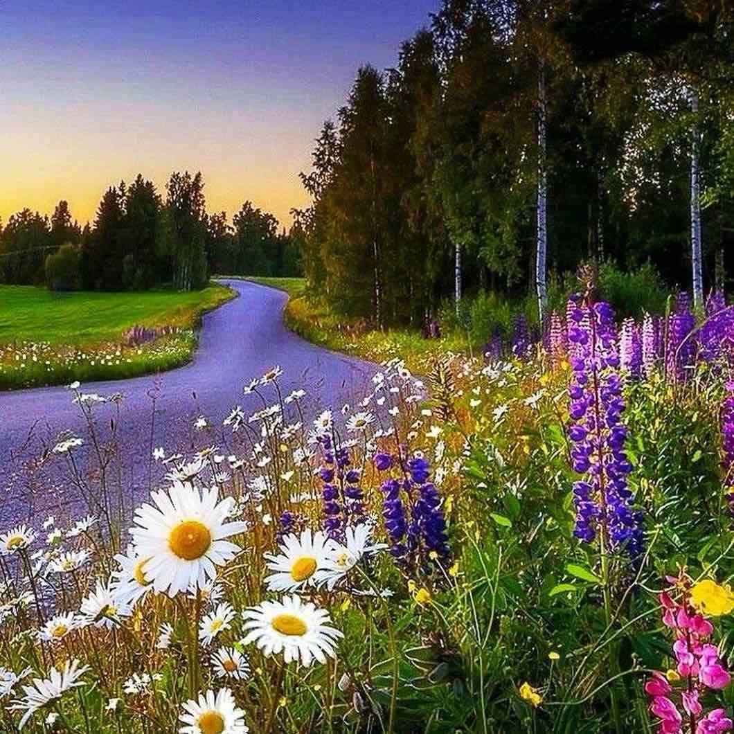 Žingsniai link kitos savęs logo