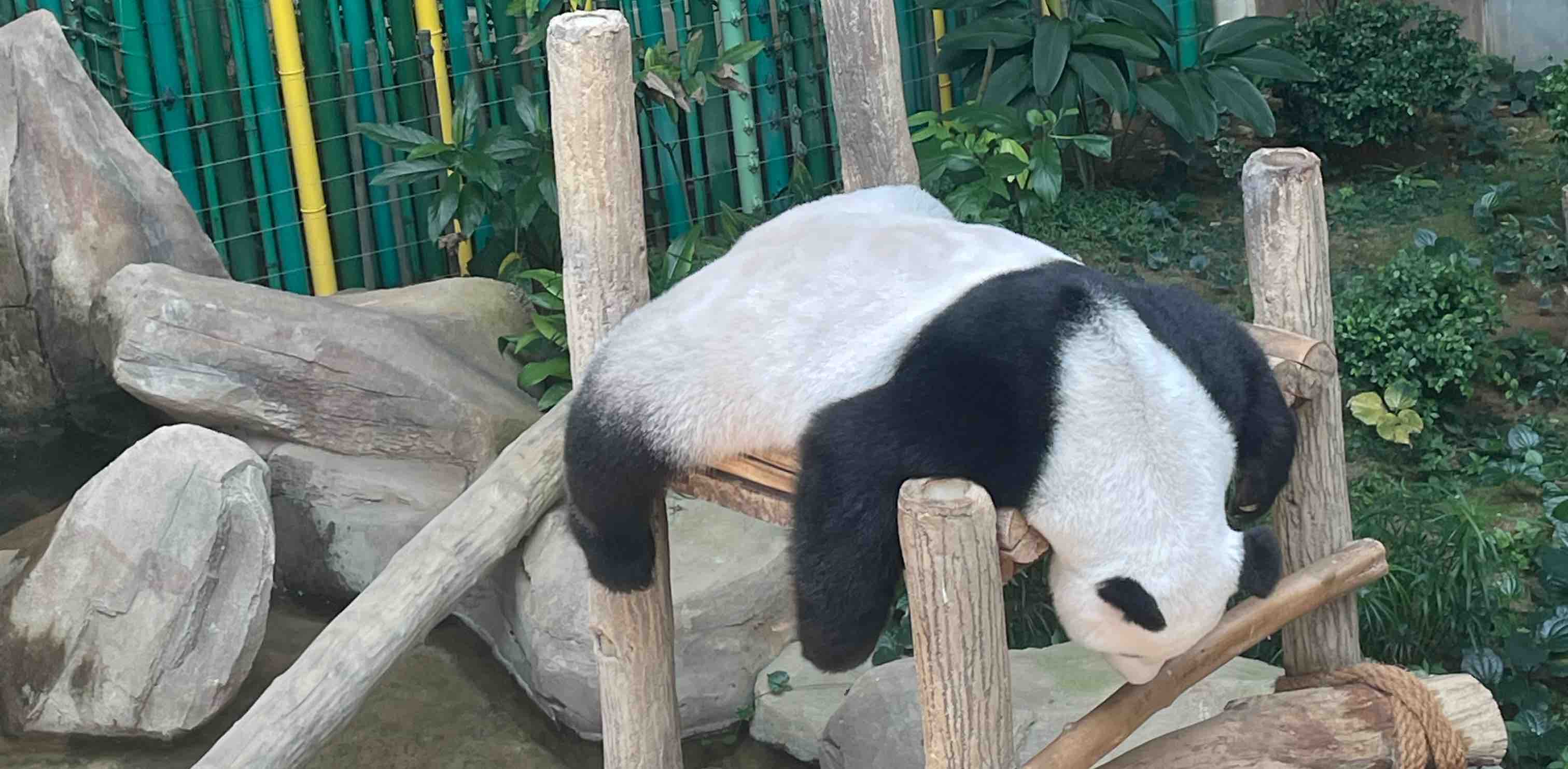 Бей беги banner