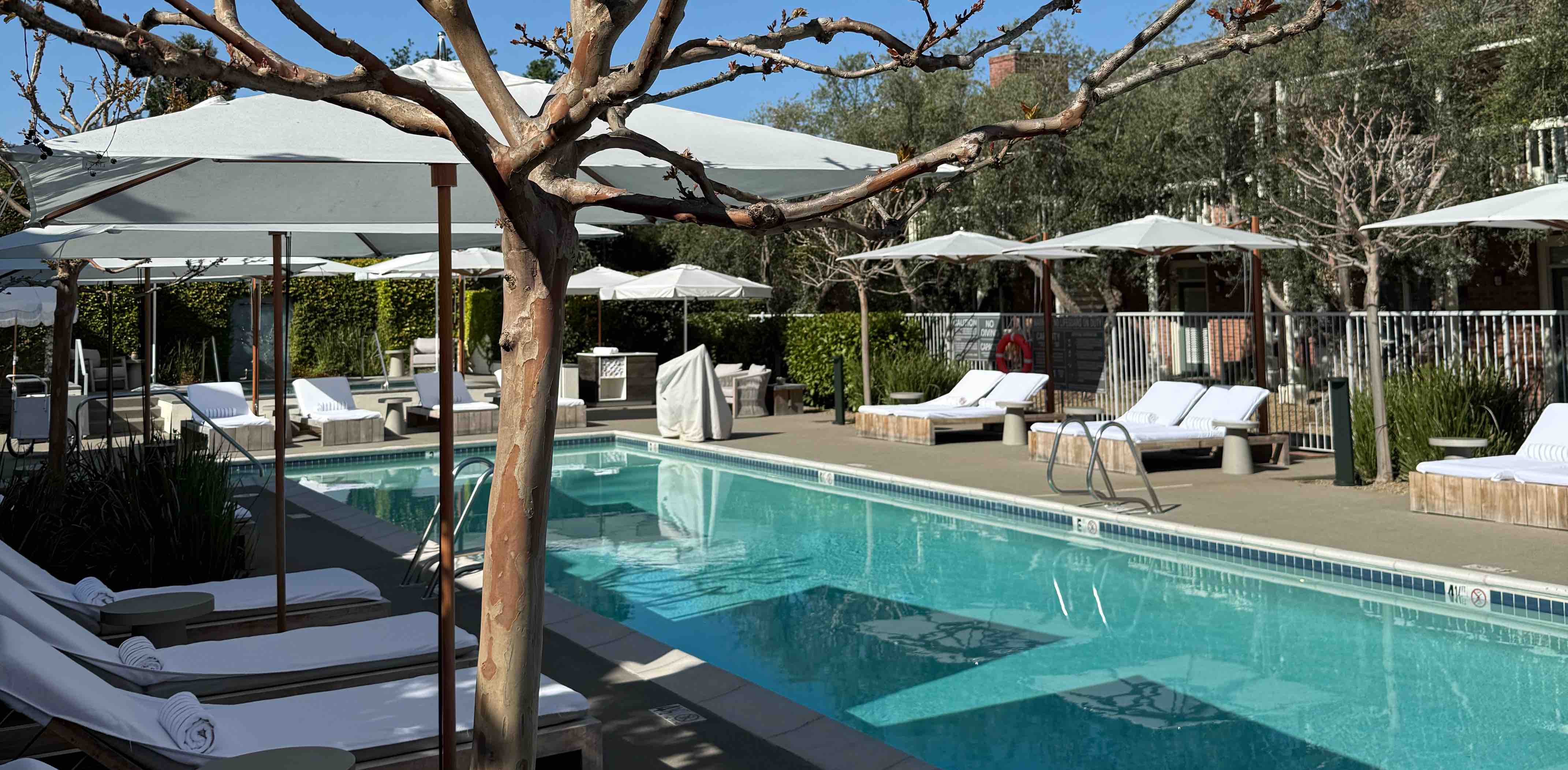 A Team Steppers banner