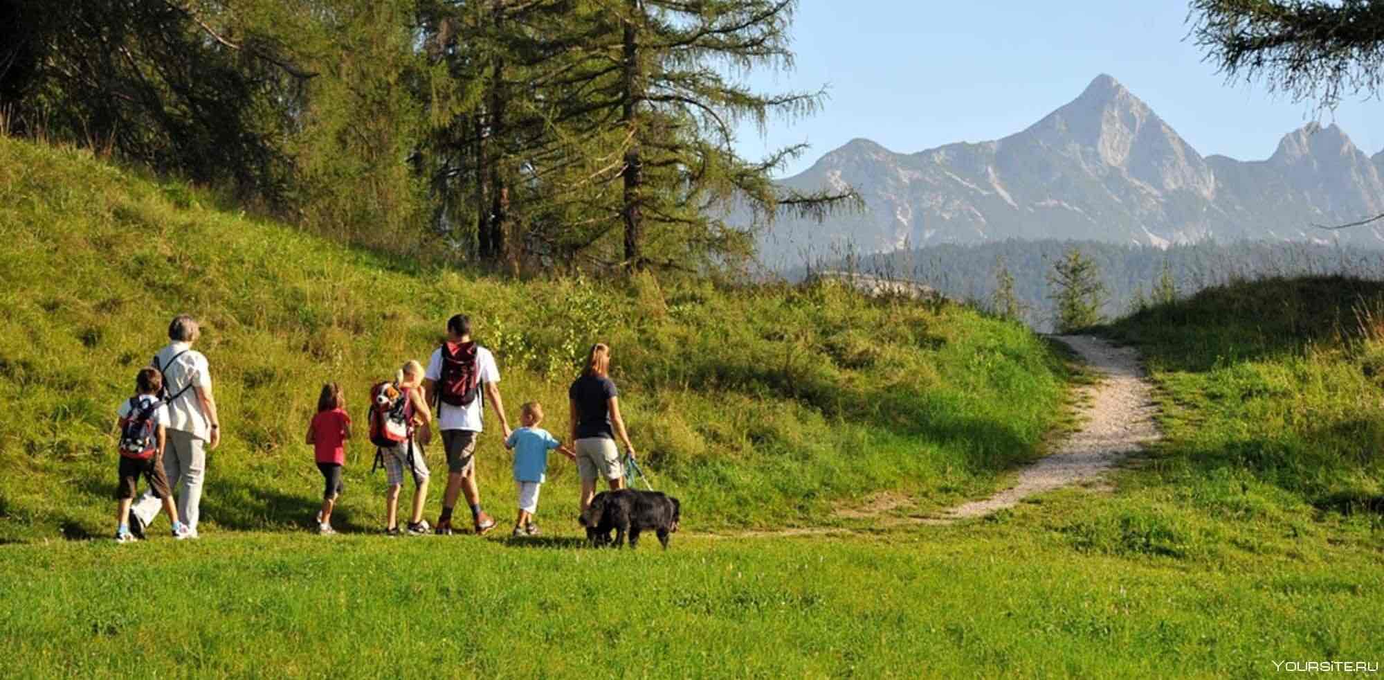 Стройтерминал⚡️Энергия ходьбы banner