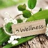 The Unit Wellness profile
