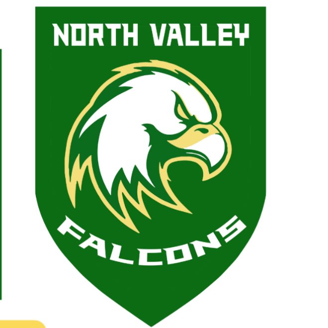 North Valley Striders! 💚💛 logo