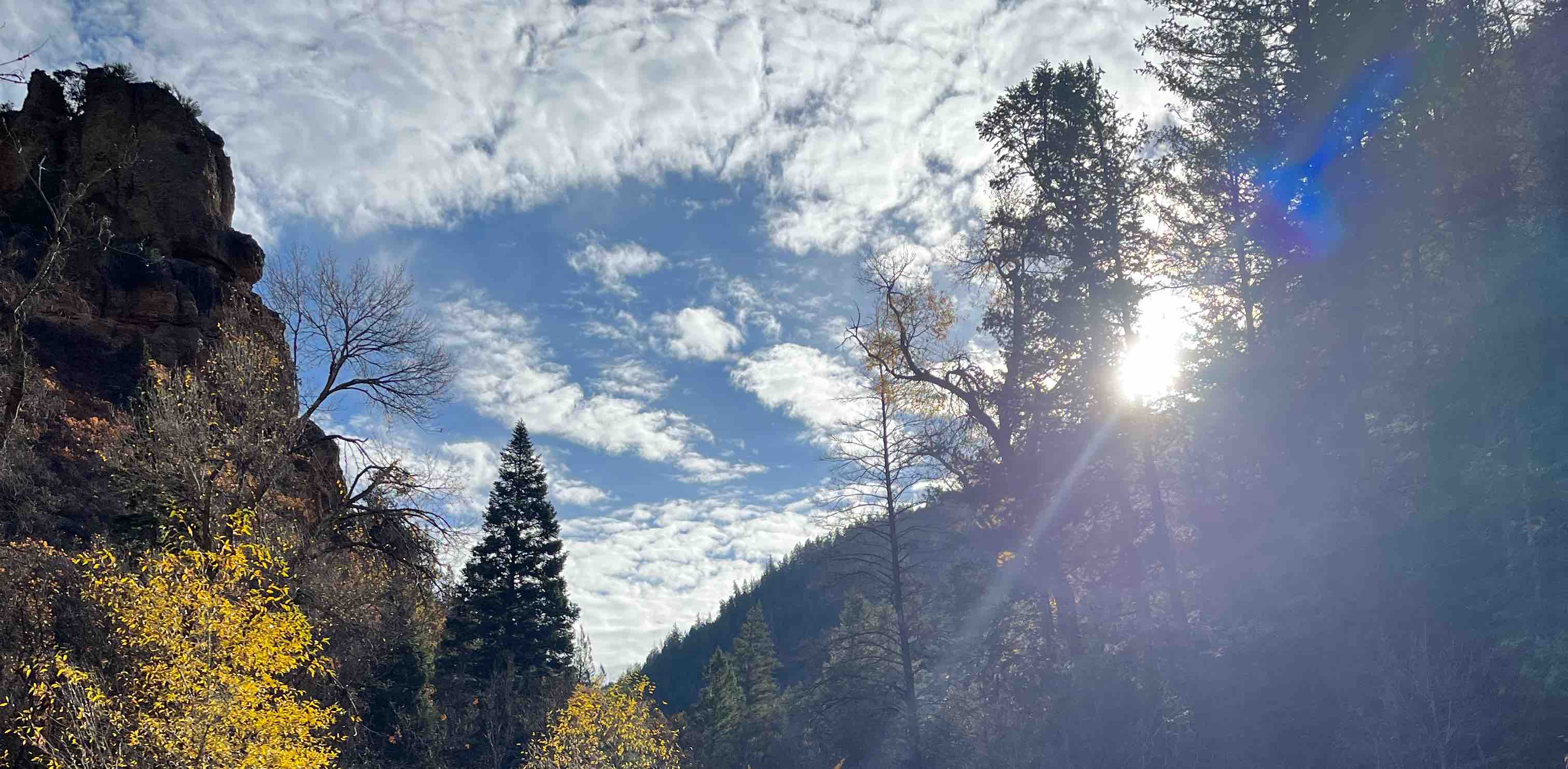 Aligned Breathwork banner