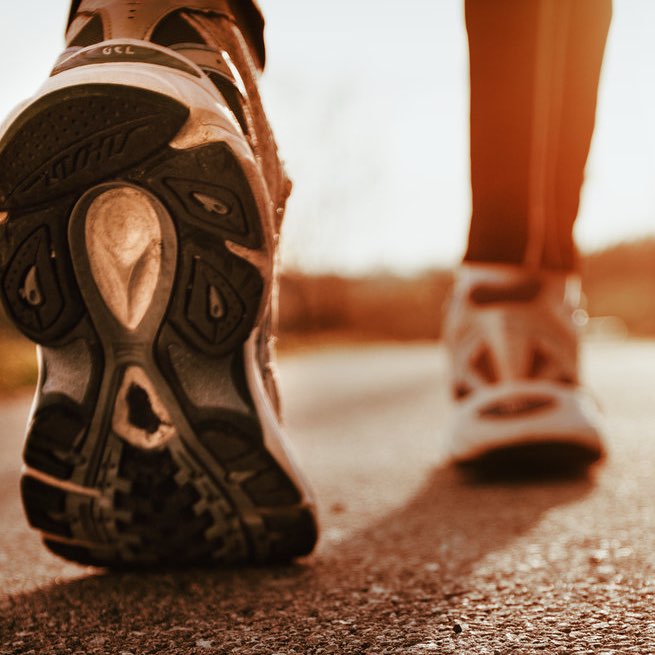 Shagozhanki and shagogusi club logo