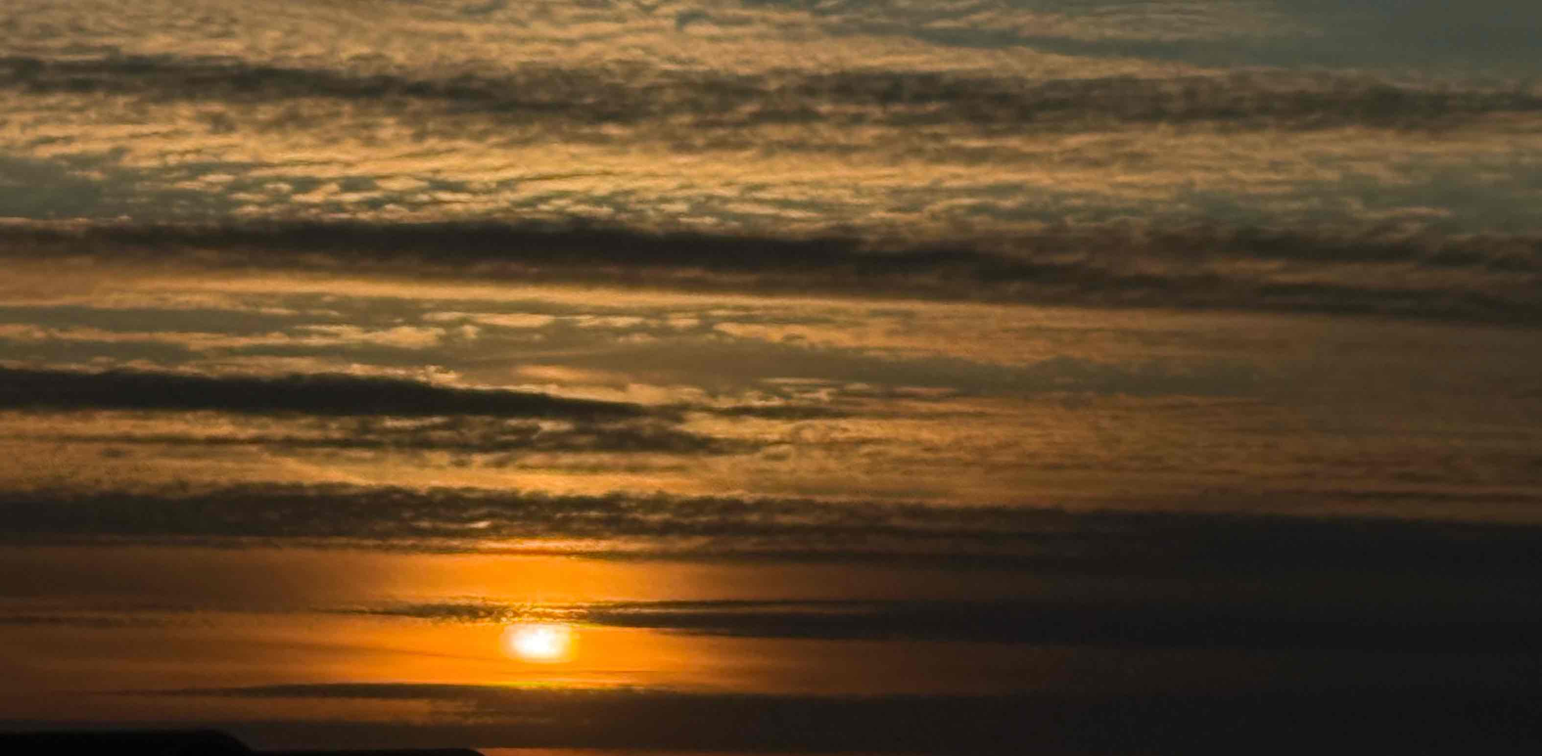 Indians in Munich banner